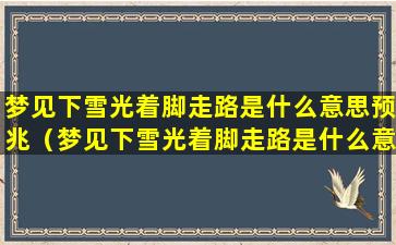 梦见下雪光着脚走路是什么意思预兆（梦见下雪光着脚走路是什么意思预兆解梦）