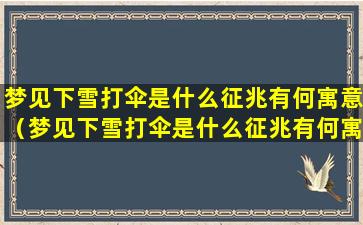 梦见下雪打伞是什么征兆有何寓意（梦见下雪打伞是什么征兆有何寓意女性）