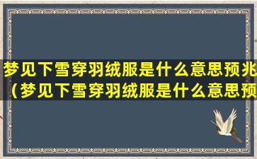 梦见下雪穿羽绒服是什么意思预兆（梦见下雪穿羽绒服是什么意思预兆解梦）