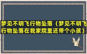 梦见不明飞行物坠落（梦见不明飞行物坠落在我家院里还带个小孩）