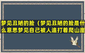 梦见丑陋的脸（梦见丑陋的脸是什么意思梦见自己被人追打着爬山崖壁）