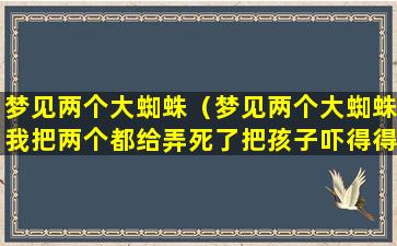 梦见两个大蜘蛛（梦见两个大蜘蛛我把两个都给弄死了把孩子吓得得）