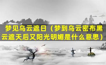 梦见乌云遮日（梦到乌云密布黑云遮天后又阳光明媚是什么意思）