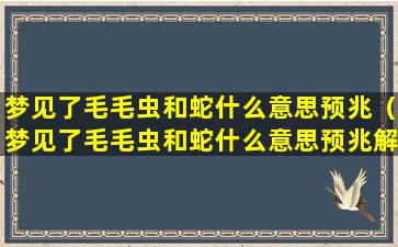 梦见了毛毛虫和蛇什么意思预兆（梦见了毛毛虫和蛇什么意思预兆解梦）