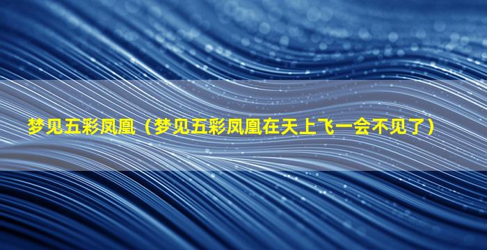 梦见五彩凤凰（梦见五彩凤凰在天上飞一会不见了）