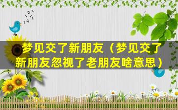 梦见交了新朋友（梦见交了新朋友忽视了老朋友啥意思）