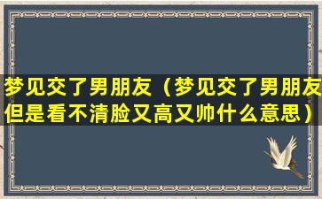 梦见交了男朋友（梦见交了男朋友但是看不清脸又高又帅什么意思）