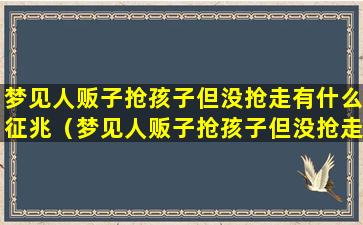 梦见人贩子抢孩子但没抢走有什么征兆（梦见人贩子抢孩子但没抢走有什么征兆嘛）