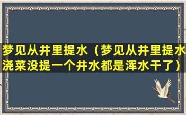 梦见从井里提水（梦见从井里提水浇菜没提一个井水都是浑水干了）