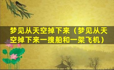 梦见从天空掉下来（梦见从天空掉下来一搜船和一架飞机）