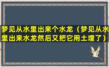 梦见从水里出来个水龙（梦见从水里出来水龙然后又把它用土埋了）