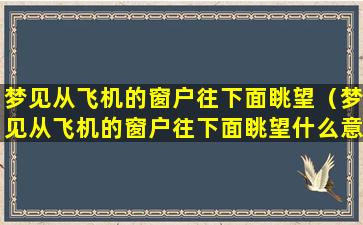 梦见从飞机的窗户往下面眺望（梦见从飞机的窗户往下面眺望什么意思）