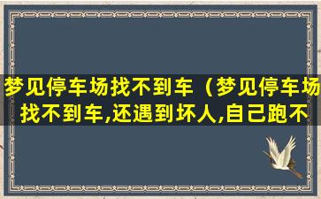 梦见停车场找不到车（梦见停车场找不到车,还遇到坏人,自己跑不动）