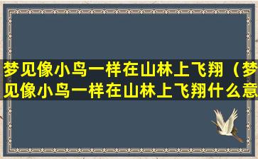 梦见像小鸟一样在山林上飞翔（梦见像小鸟一样在山林上飞翔什么意思）