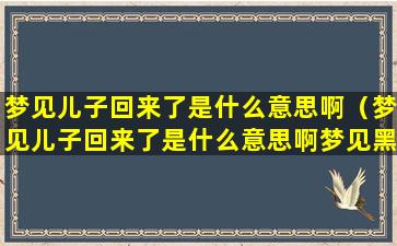 梦见儿子回来了是什么意思啊（梦见儿子回来了是什么意思啊梦见黑水）