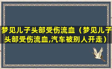 梦见儿子头部受伤流血（梦见儿子头部受伤流血,汽车被别人开走）