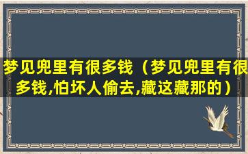 梦见兜里有很多钱（梦见兜里有很多钱,怕坏人偷去,藏这藏那的）