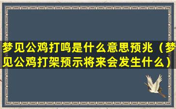 梦见公鸡打鸣是什么意思预兆（梦见公鸡打架预示将来会发生什么）