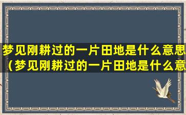 梦见刚耕过的一片田地是什么意思（梦见刚耕过的一片田地是什么意思周公解梦）