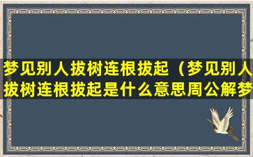 梦见别人拔树连根拔起（梦见别人拔树连根拔起是什么意思周公解梦）