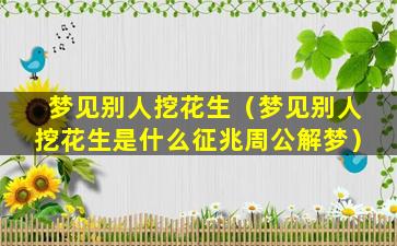 梦见别人挖花生（梦见别人挖花生是什么征兆周公解梦）