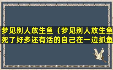 梦见别人放生鱼（梦见别人放生鱼死了好多还有活的自己在一边抓鱼）