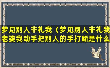 梦见别人非礼我（梦见别人非礼我老婆我动手把别人的手打断是什么意思）