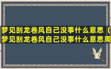 梦见刮龙卷风自己没事什么意思（梦见刮龙卷风自己没事什么意思周公解梦）