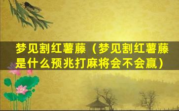 梦见割红薯藤（梦见割红薯藤是什么预兆打麻将会不会赢）