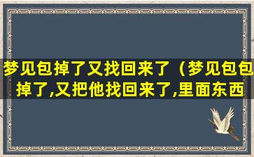 梦见包掉了又找回来了（梦见包包掉了,又把他找回来了,里面东西坏了）