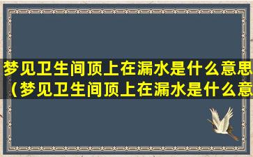 梦见卫生间顶上在漏水是什么意思（梦见卫生间顶上在漏水是什么意思周公解梦）