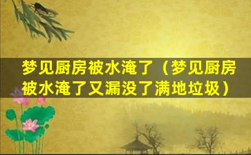 梦见厨房被水淹了（梦见厨房被水淹了又漏没了满地垃圾）