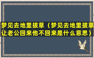 梦见去地里拔草（梦见去地里拔草让老公回来他不回来是什么意思）