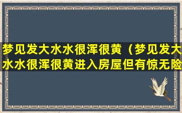 梦见发大水水很浑很黄（梦见发大水水很浑很黄进入房屋但有惊无险家人安全）