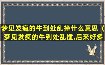 梦见发疯的牛到处乱撞什么意思（梦见发疯的牛到处乱撞,后来好多人才赶走）