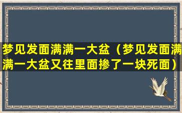 梦见发面满满一大盆（梦见发面满满一大盆又往里面掺了一块死面）