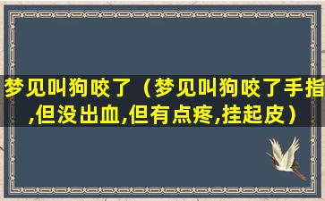 梦见叫狗咬了（梦见叫狗咬了手指,但没出血,但有点疼,挂起皮）