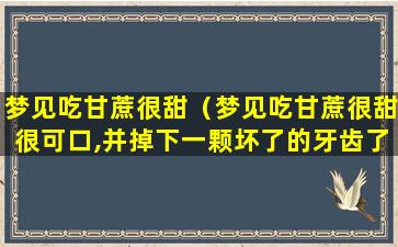 梦见吃甘蔗很甜（梦见吃甘蔗很甜很可口,并掉下一颗坏了的牙齿了）