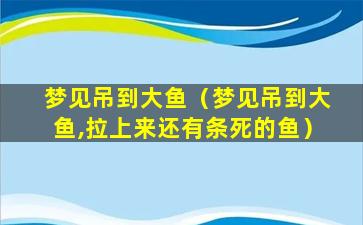 梦见吊到大鱼（梦见吊到大鱼,拉上来还有条死的鱼）