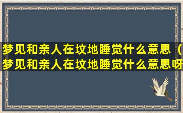 梦见和亲人在坟地睡觉什么意思（梦见和亲人在坟地睡觉什么意思呀）