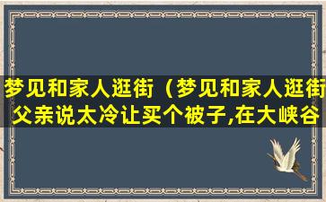 梦见和家人逛街（梦见和家人逛街父亲说太冷让买个被子,在大峡谷迷路了）