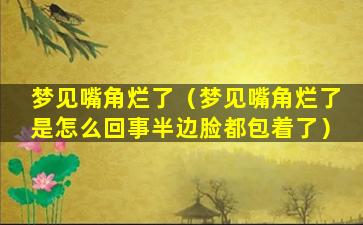 梦见嘴角烂了（梦见嘴角烂了是怎么回事半边脸都包着了）