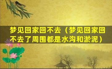 梦见回家回不去（梦见回家回不去了周围都是水沟和淤泥）