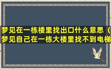 梦见在一栋楼里找出口什么意思（梦见自己在一栋大楼里找不到电梯和出口）