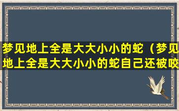 梦见地上全是大大小小的蛇（梦见地上全是大大小小的蛇自己还被咬了一口）