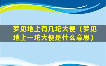 梦见地上有几坨大便（梦见地上一坨大便是什么意思）