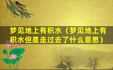 梦见地上有积水（梦见地上有积水但是走过去了什么意思）