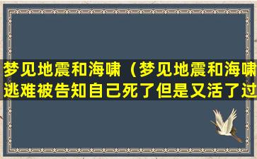 梦见地震和海啸（梦见地震和海啸逃难被告知自己死了但是又活了过来）