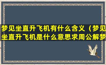 梦见坐直升飞机有什么含义（梦见坐直升飞机是什么意思求周公解梦）