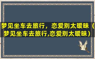 梦见坐车去旅行，恋爱别太暧昧（梦见坐车去旅行,恋爱别太暧昧）